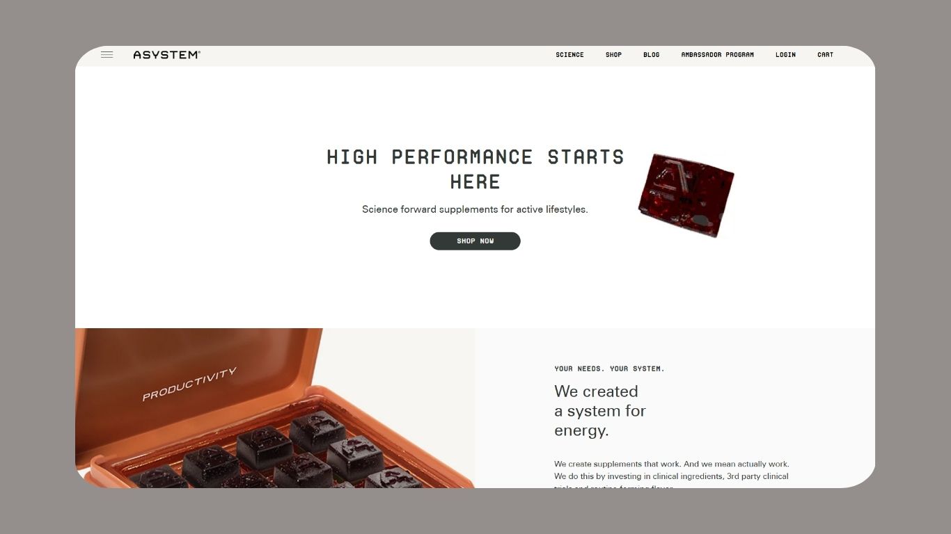 ASYSTEM Website Screenshot