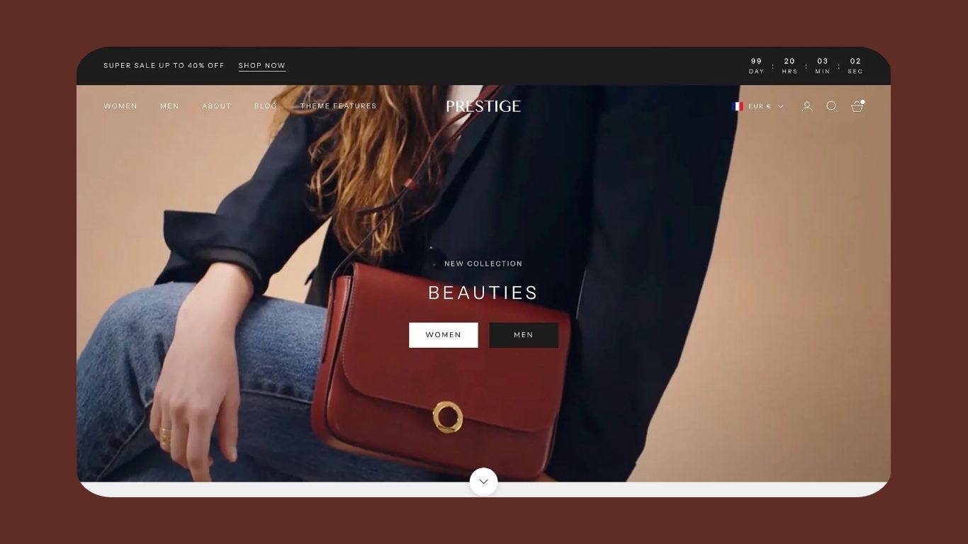 Free or Paid Shopify theme